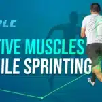 Active Muscles While Sprinting